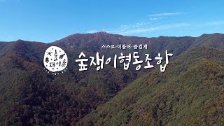[산림일자리발전소] 완주지역 그루경영체 숲쟁이