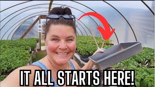 Spring Planting Begins!  Spring Vegetables, Fruit Bushes & Farm Animals