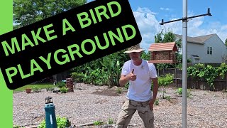 Ultimate Avian Hangout - Flagpole Gets a New… Perch pose!