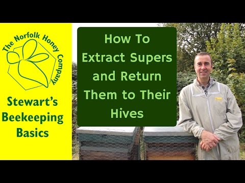 Extracting Supers and Returning them to the Hives - #Beekeeping Basics - The Norfolk Honey Co.
