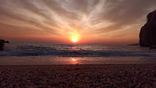 musica relaxante para gato