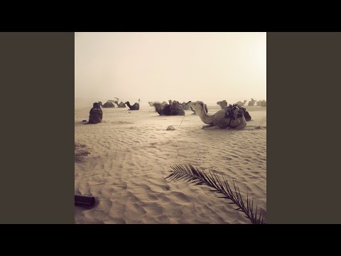 We Can Go Everywhere