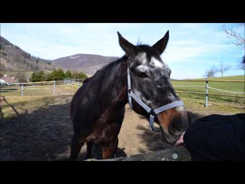 25.02.2017 Bad Ditzenbach