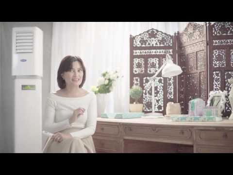 Carrier Air Conditioner Slimpac with Daphne and Jenni