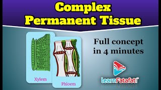Class 9 Science Tissues Complex Permanent Tissue - LearnFatafat