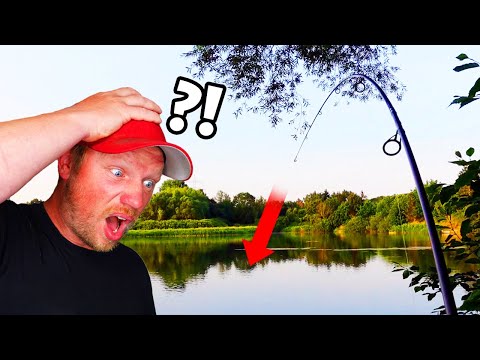 AWESOME BAIT: EEL NIGHT with a massive BONUS FISH! 💥