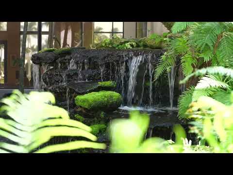 The Jills Zeder Group Presents 2499 E Maya Palm Dr