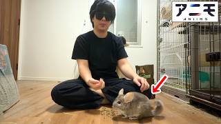 僕が7年間ずっと話せなかった事を告白します。　【アニモ】実況プレイ