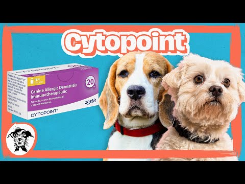 005 - The Truth About Cytopoint: What Every Dog Owner Needs to Know