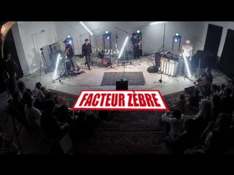 Facteur Zèbre | Teaser