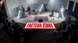 Facteur Zèbre | Teaser