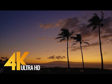 4K Nature Relax Video - Tropical Beach at Sunset - Kapalua Bay, Maui, Hawaii