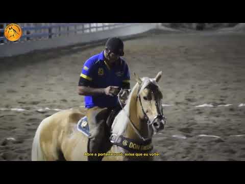 VOLTAR PRO MEU SERTÃO - IGUINHO E LULINHA (CLIPE VAQUEJADA)