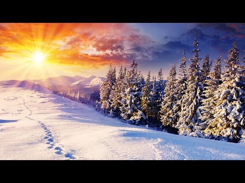 Interessante Winterbilder # 064