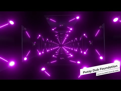 Pussy Dub Foundation - Stand Up (2007 Short Re-Edit)