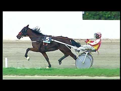 Napoli Trotto 12/11/2021 - 1ª corsa