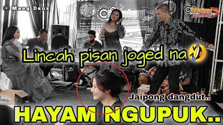 Download lagu HAYAM NGUPUK ‼️JAIPONG DANGDUT_Live perform GELOMBANG 5_Lembur situ mp3 Download lagu HAYAM NGUPUK ‼️JAIPONG DANGDUT_Live perform GELOMBANG 5_Lembur situ mp3