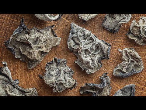 Kikurage / Wood Ear Mushroom Recipes: Ramen, Salad and More