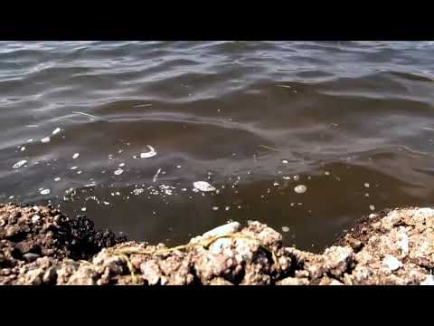 Lake Hopatcong Reopened