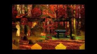 Hurts-The Crow with lyrics