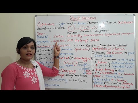 Plant hormones and its application- (cytokinin) hindi
