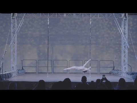 Renee Wu - Pole Theatre USA 2018 - Pro Pole Art Winner & Overall Champion