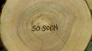 B.o.B - So Soon (Audio)