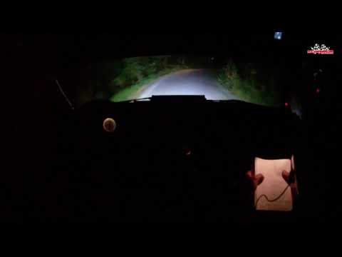 Rally città di Pistoia 2017  Dingacci - Pedretti  Peugeot 106 N/2