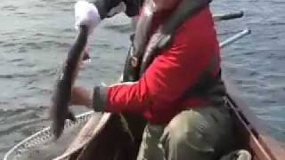 Dwight lands and releases a 5 pound Brook Trout at Igloo Lake