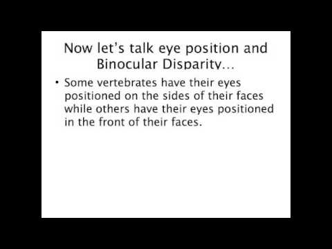 Binocular Fixation Disparity