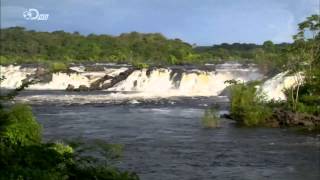 Venezuela Salvaje Documental Completo