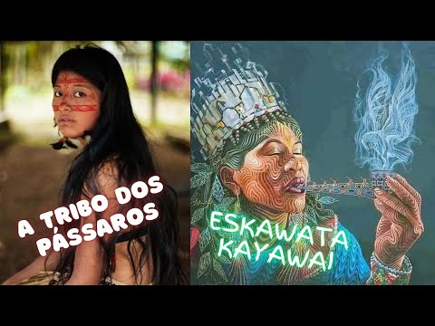 Eskawata Kayawai by A Tribo dos Pássaros