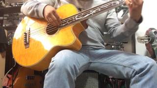 Video thumbnail for Michael Kelly Dragonfly 5 string Bass Fretless strung with DR Rare Bronze DEMO by lalofierro