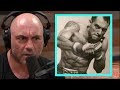 Joe Rogan On Why He Started Doing Martial Arts