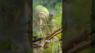 Download lagu ZIKIRNYA ORANG MAKRIFAT mp3 Download lagu ZIKIRNYA ORANG MAKRIFAT mp3