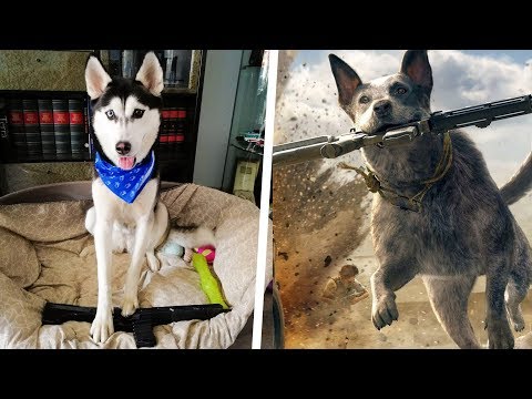 Questa cosa è pazzesca.