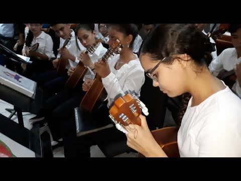 Orq. Alma Llanera de PLC celebra el 46 Aniversario de El Sistema