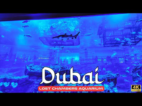 Lost Chambers Aquarium Tour at ATLANTIS THE PALM Hotel in Dubai 4K