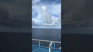 Cruising from Brisbane #holiday #travel #cruise #sea #fun #youtubeshorts #youtube #youtubechannel