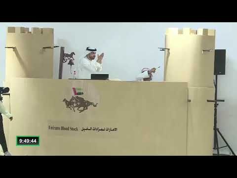 Dubai Arabian Horse stud Auction 29th Oct.2022