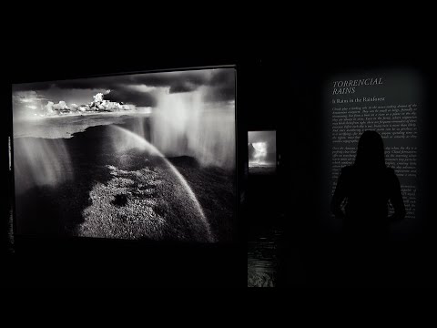 'Amazônia', la exposición fotográfica que invita a lavar la selva más grande del mundo