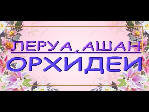 ЛЕРУА,Ашан:ЗАВОЗ прекрасных ОРХИДЕЙ!Привезли "Джулию",26.05.22,Самара,ТЦ"Космопорт",Дыбенко 30.