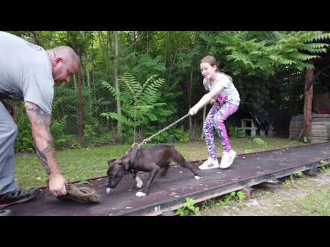 Training day in Štúrovo