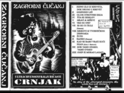 Zagrobni Čučanj - Ich gehe zur schule (Patareni cover)