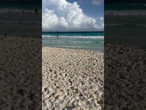 #strand #beach #summer