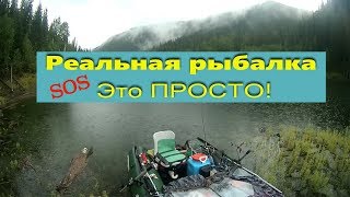 Ссылка
