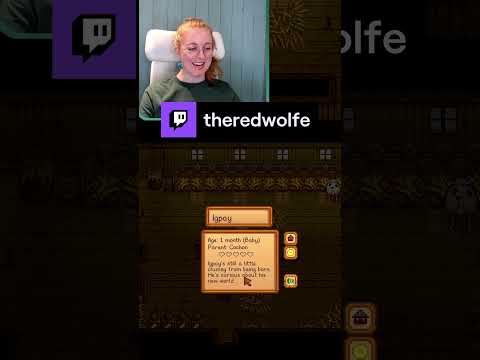 clumsy gang, me and Igpay 🤝 | TheRedWolfe on #Twitch