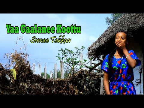 Seenaa Takkaa - Gaalanee Koottu - New Oromo music - 2022 official video