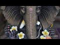 Aruhan Pul Sathi Vinayagar Tamil Album Song