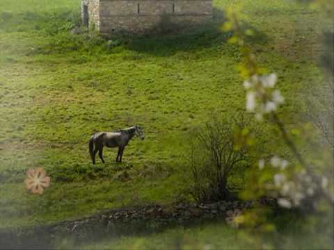 The voices of Rhodopes - Vasilka Stancheva - Dobro lyo